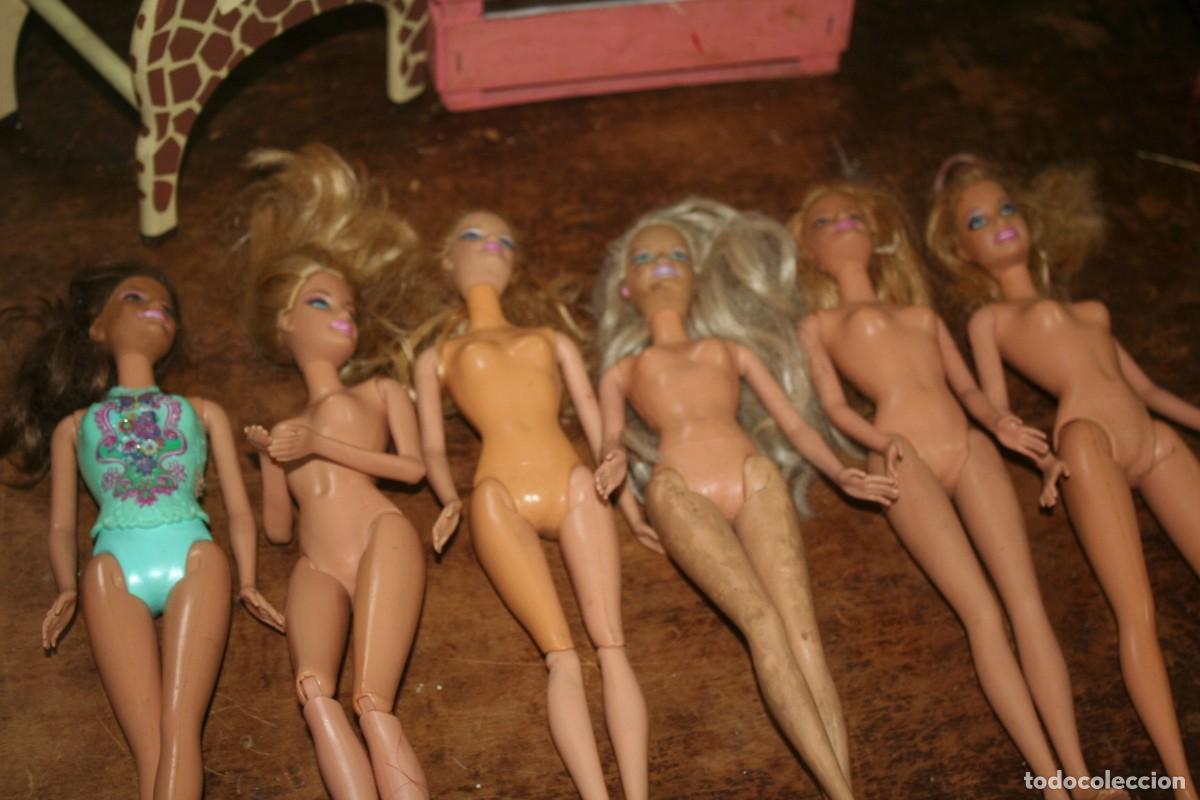 Barbie y Ken: lote de mu&ntilde;ecas barbie 6 mu&ntilde;ecas