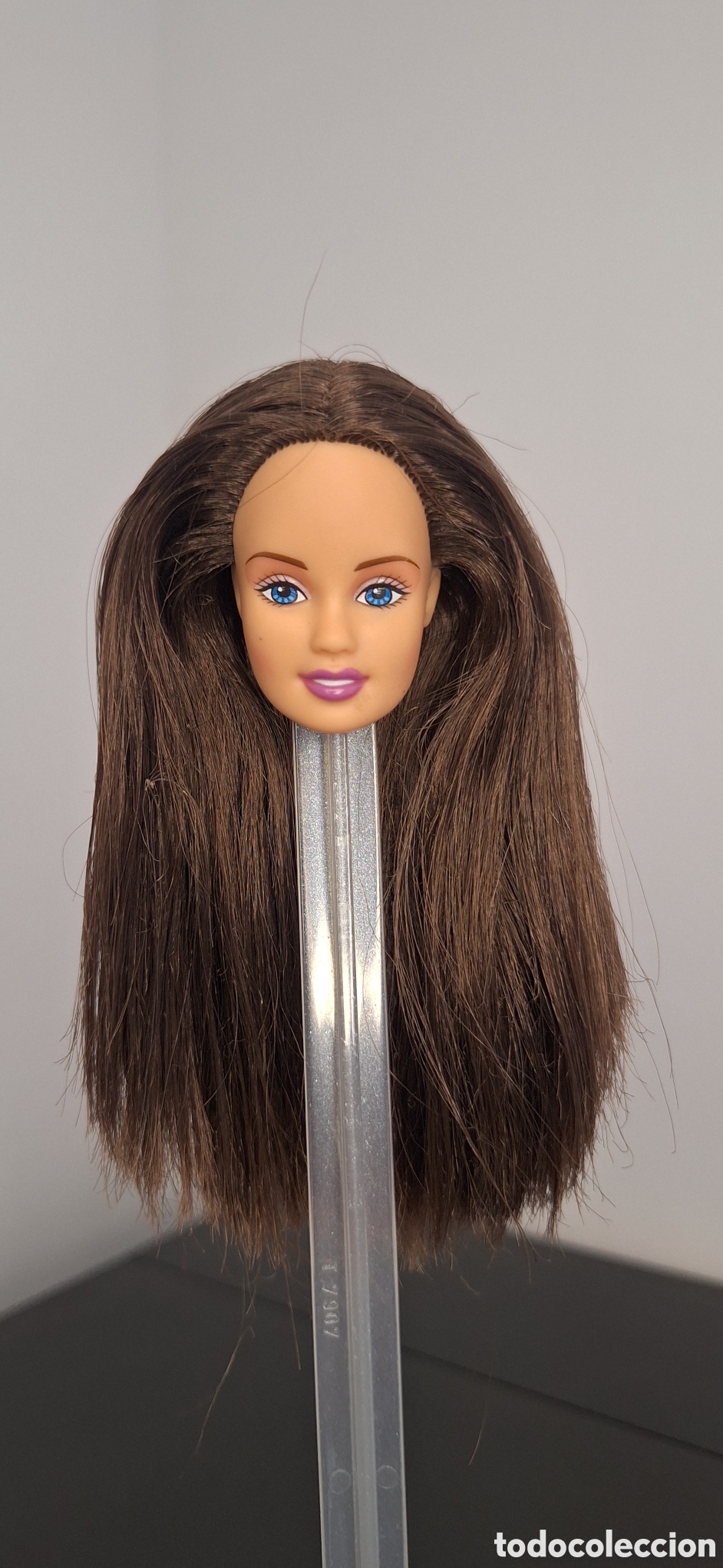 Barbie y Ken: Cabeza Teresa Pocket surprise