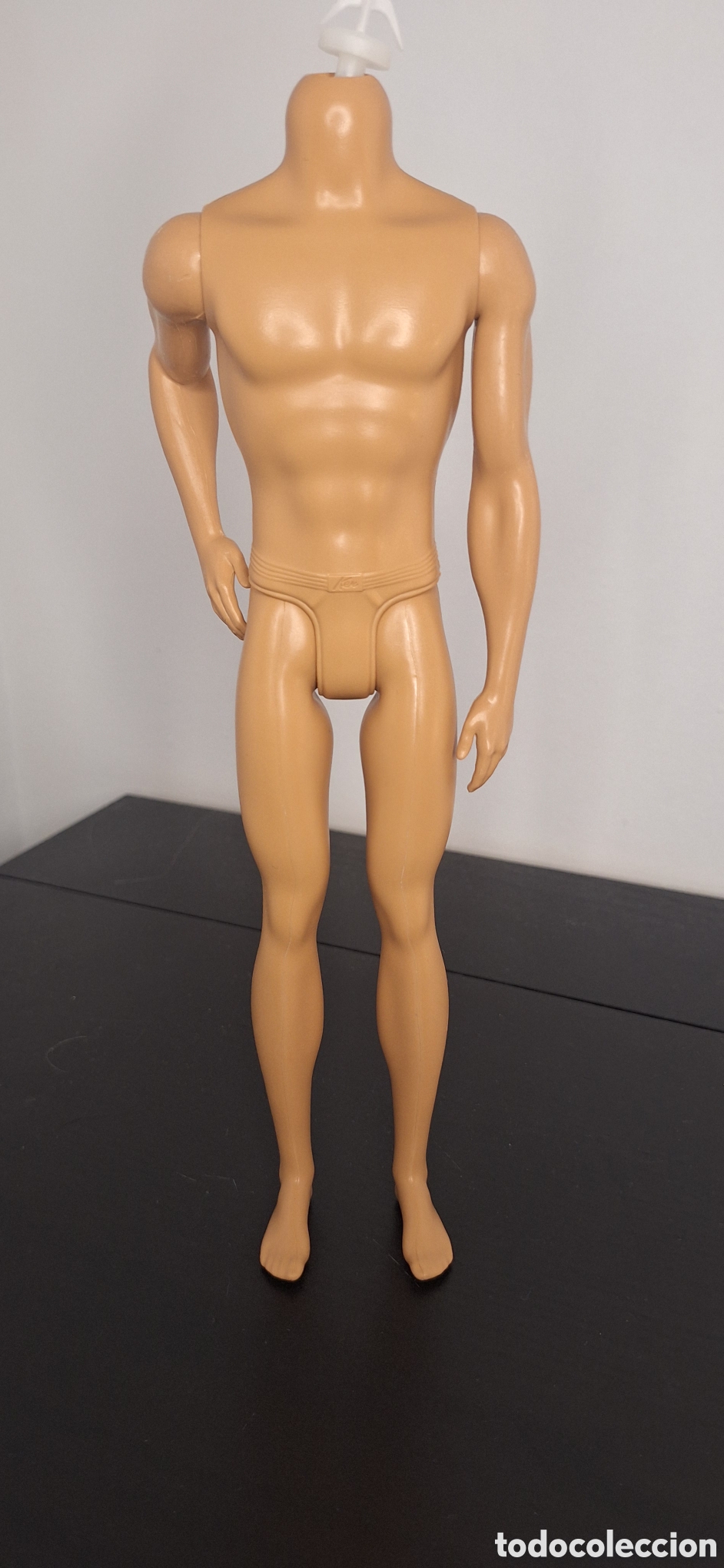 Barbie y Ken: cuerpo Ken fashionista actual