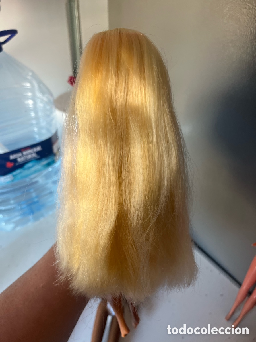 Barbie y Ken: Lote Barbie, varias Mattel - Foto 15