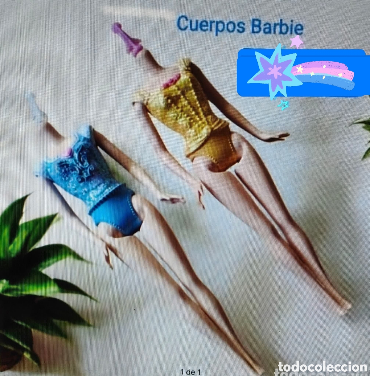 Barbie y Ken: :::: TC20 - LOTE DE DOS CUERPOS DE BARBIE