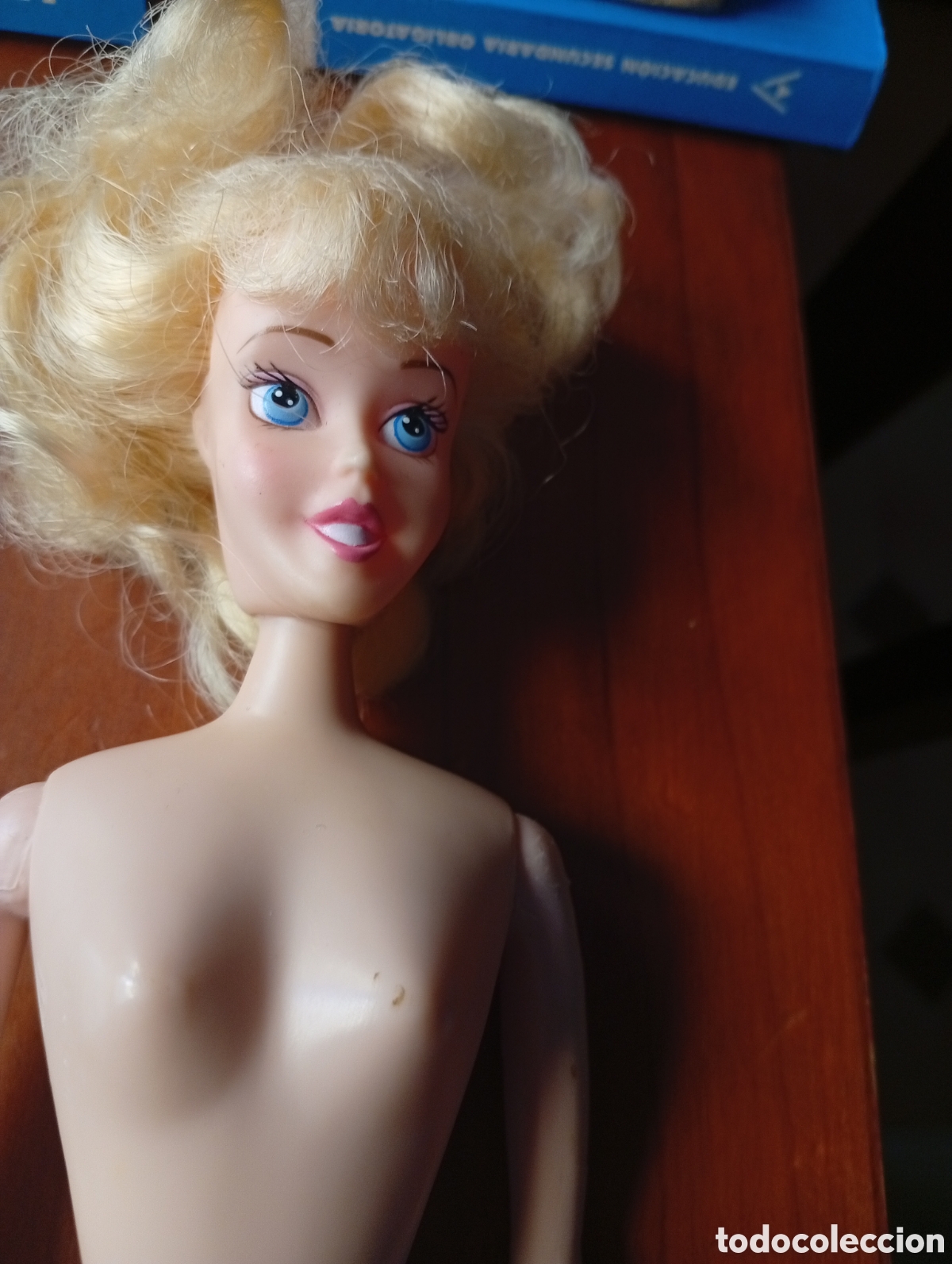 Barbie y Ken: MU&Ntilde;ECA BARBIE CENICIENTA DISNEY CON MEDIAS A&Ntilde;OS 90