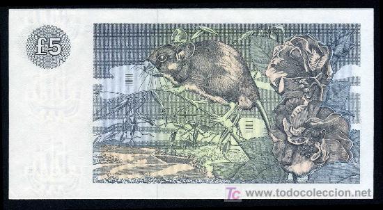 Billetes extranjeros: ESCOCIA : 5 Libras 1982  Pick 112e  S/C Plancha - Foto 2
