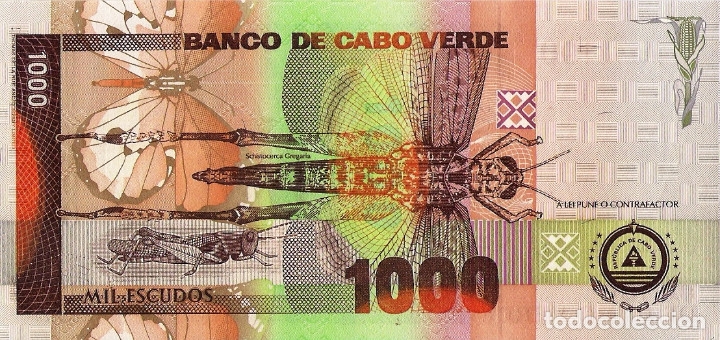 Billetes extranjeros: CAPE VERDE 1000 Escudos from 2002, P65, UNC - Foto 3