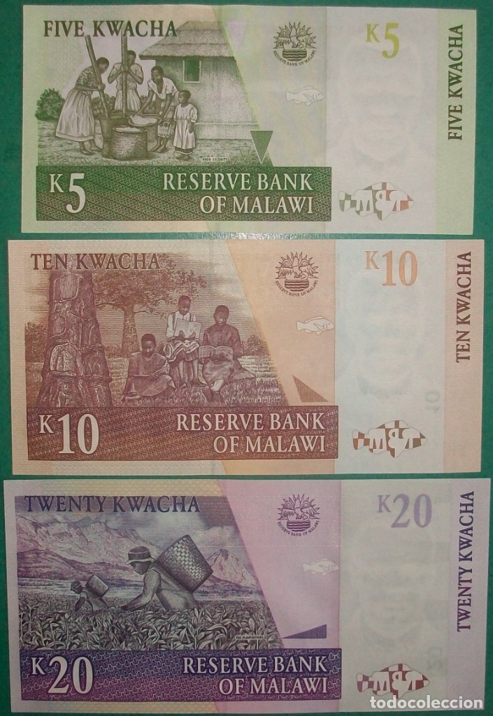 Billetes extranjeros: MALAWI. Lote/Set 3 billetes: 5, 10 y 20 Kwacha. 1997-2009. EBC a SC/UNC - Foto 2 - 182596650