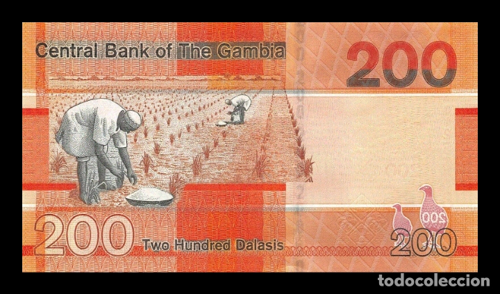 Billetes extranjeros: Gambia 200 Dalasis 2019 Pick 42a SC UNC - Foto 2