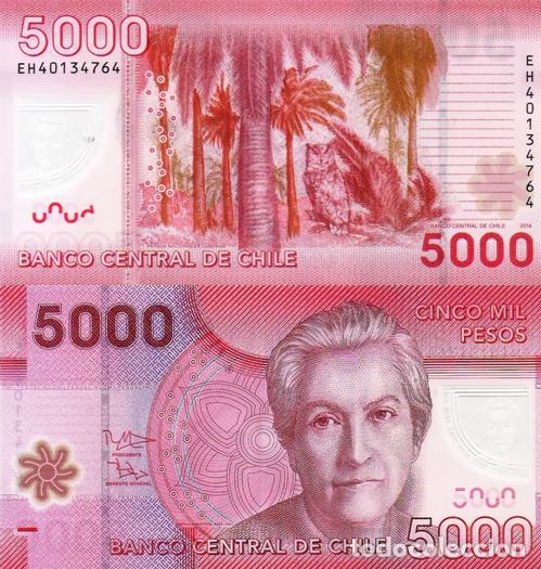 Billetes extranjeros: CHILE, 5000 Pesos, 2014, P163c, POLYMER, UNC - Foto 1