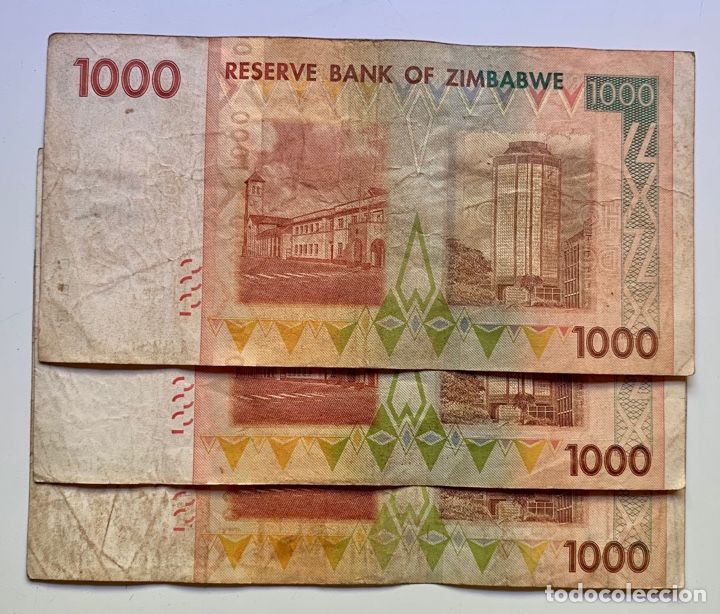Billetes extranjeros: Billete ZIMBABWE 1000 Dolares 2007 - Foto 2