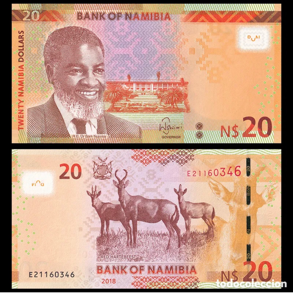 Billetes extranjeros: Billete NAMIBIA 20 Dolares 2018 SC. Dollars - Foto 1