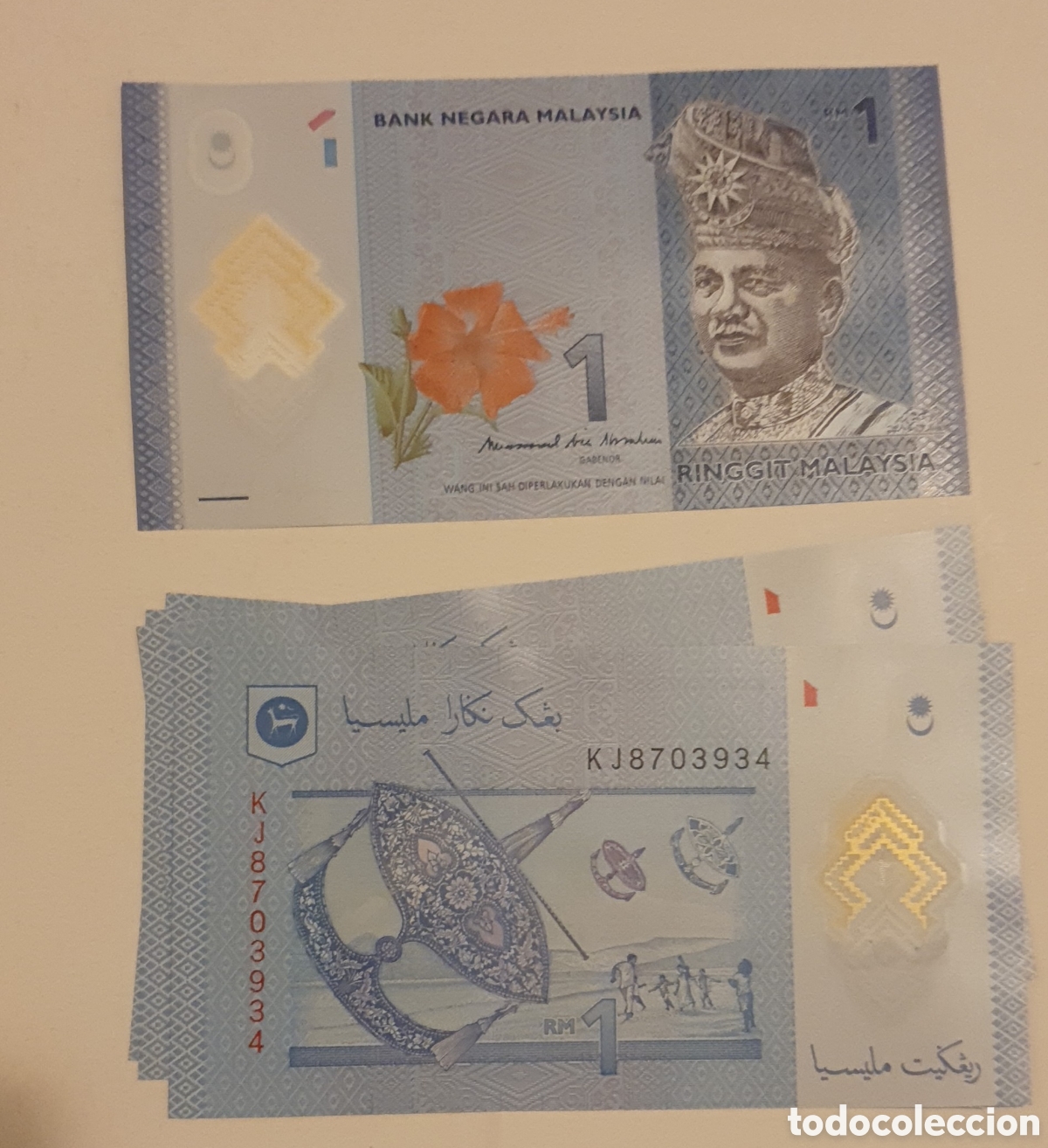 Billetes extranjeros: Billete malasia polimero