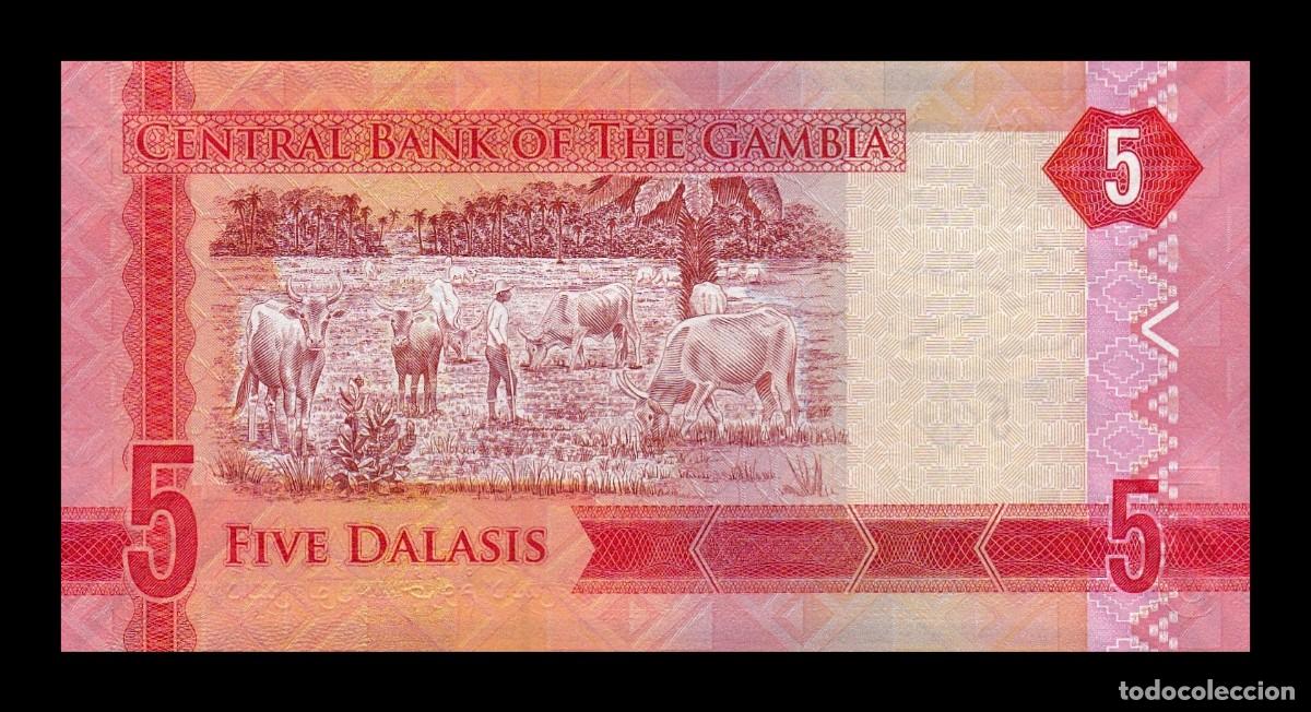 Billetes extranjeros: Gambia 5 Dalasis 2015 Pick 31 Sc Unc - Foto 2