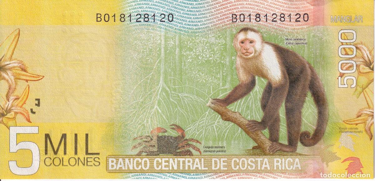 Notas Internacionais: BILLETE DE COSTA RICA DE 5000 COLONES DEL A&Ntilde;O 2012 SIN CIRCULAR (SC) (MONO-MONKEY)
