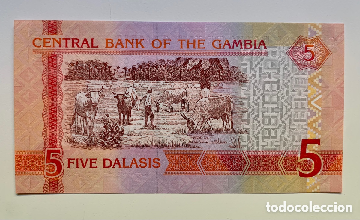 Billetes extranjeros: Billete GAMBIA 5 Dalasis (2013) SC - Foto 2