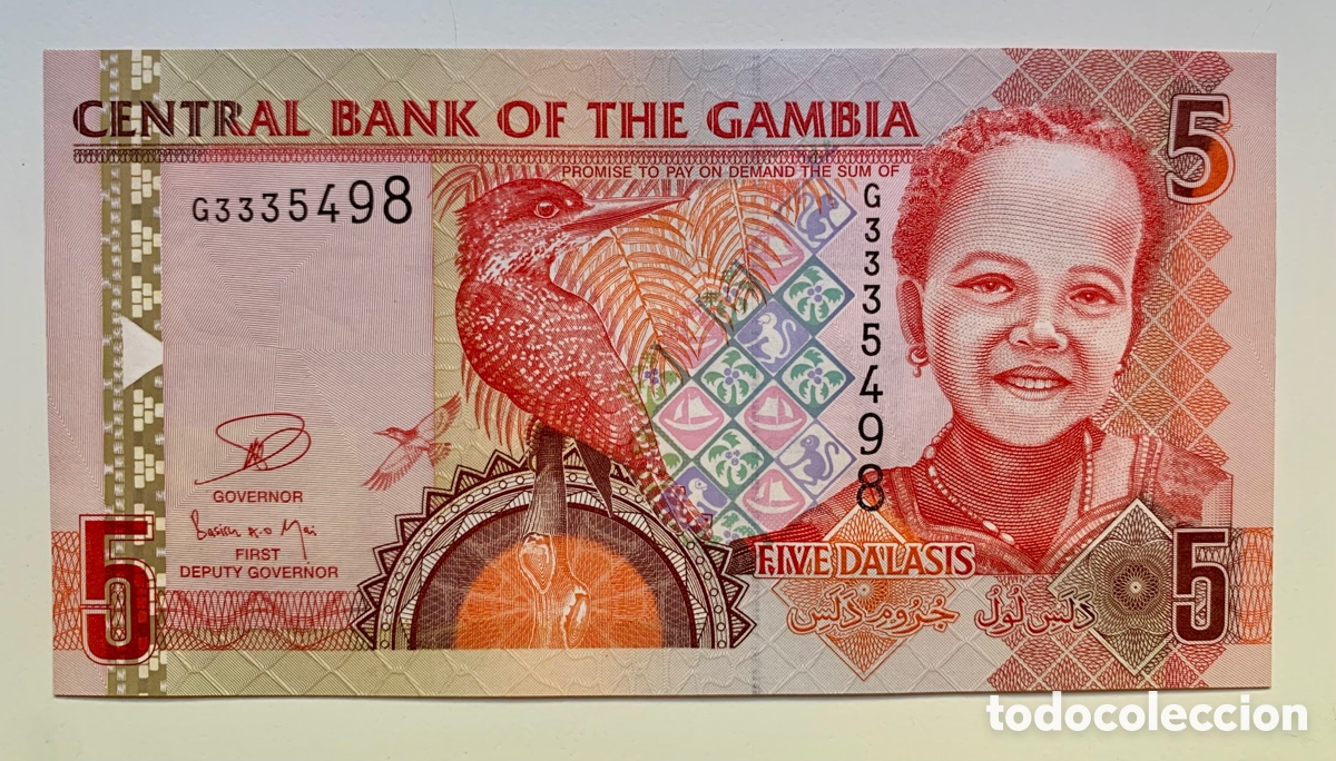 Billetes extranjeros: Billete GAMBIA 5 Dalasis (2013) SC - Foto 1