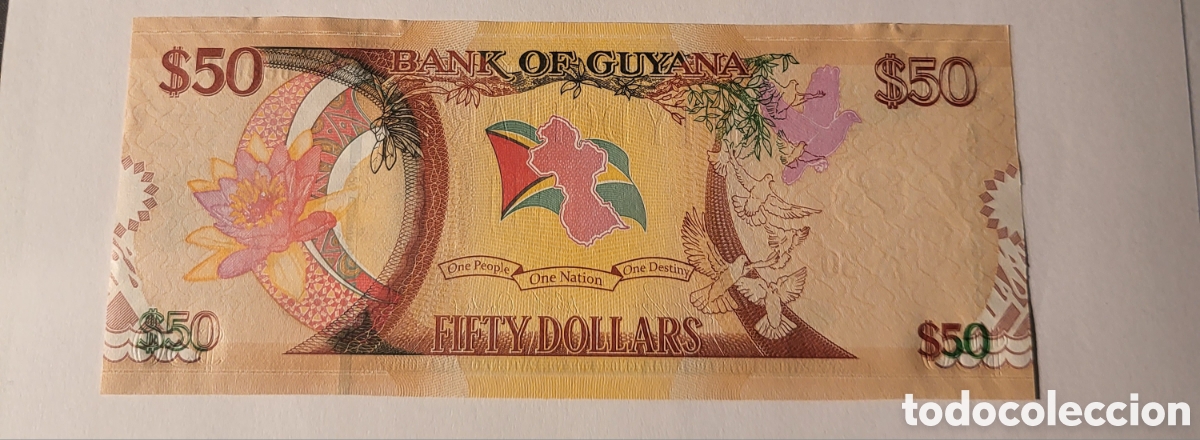 Billetes extranjeros: BILLETE DE GUYANA. A&Ntilde;O 2016. 50 DOLARES - Foto 1