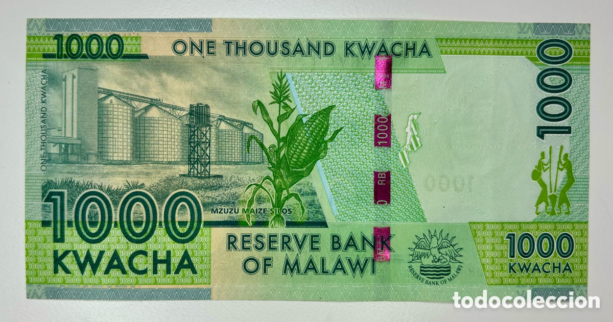 Billetes extranjeros: Billete MALAWI 1000 Kwacha 2016 . EBC - Foto 2