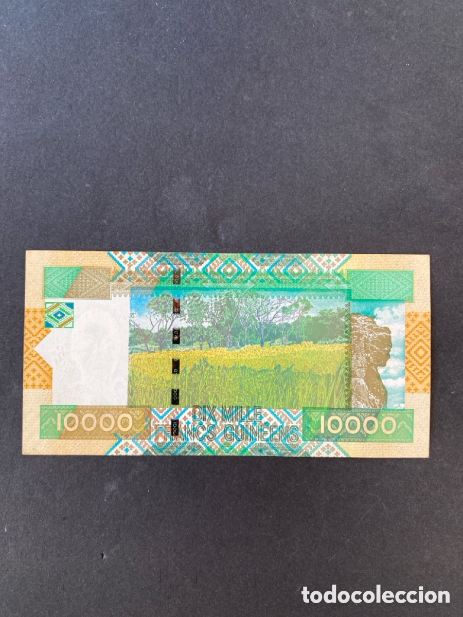 Billetes extranjeros: Billete de Guinea 10000 francos 2007 - Foto 2