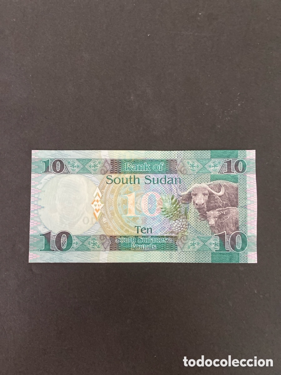 Billetes extranjeros: Billete de Sudan del Sur - Foto 2