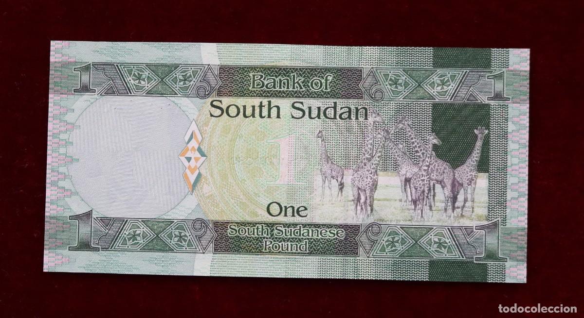 Billetes extranjeros: 1 LIBRA 2011 SUDAN DEL SUR. P#5. SC / UNC. - Foto 2