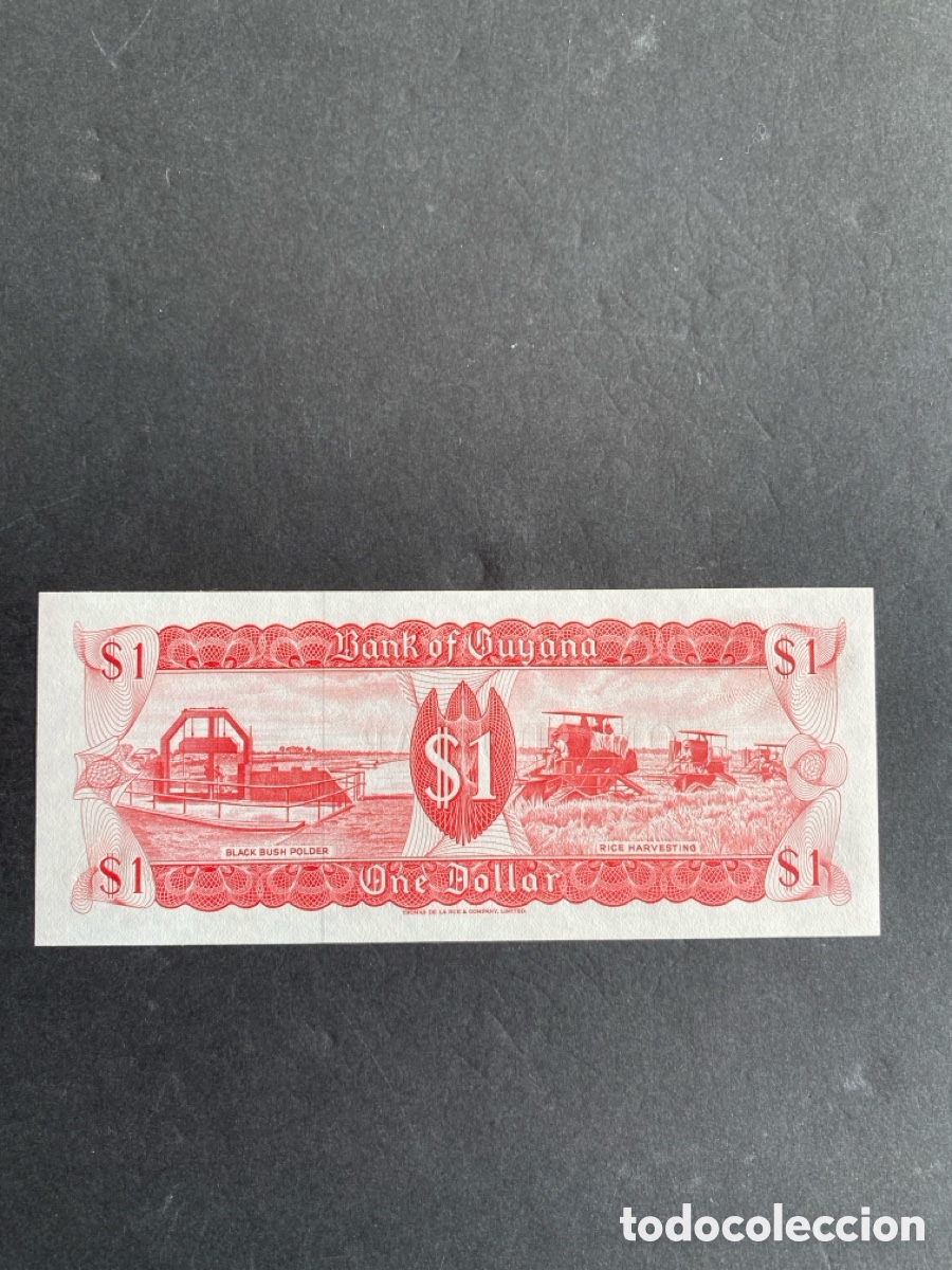 Billetes extranjeros: Billete de Guyana 1 dollar - Foto 2