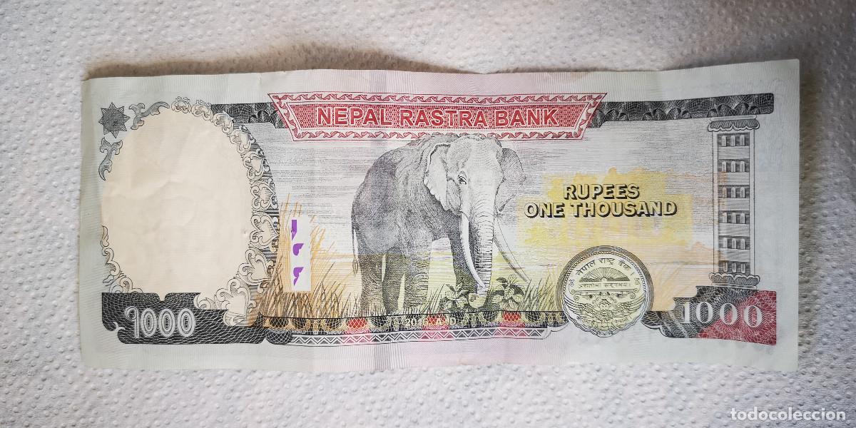 Billetes extranjeros: BILLETE NEPAL - 1000 RUPIAS RUPEES - 2003 - Foto 1
