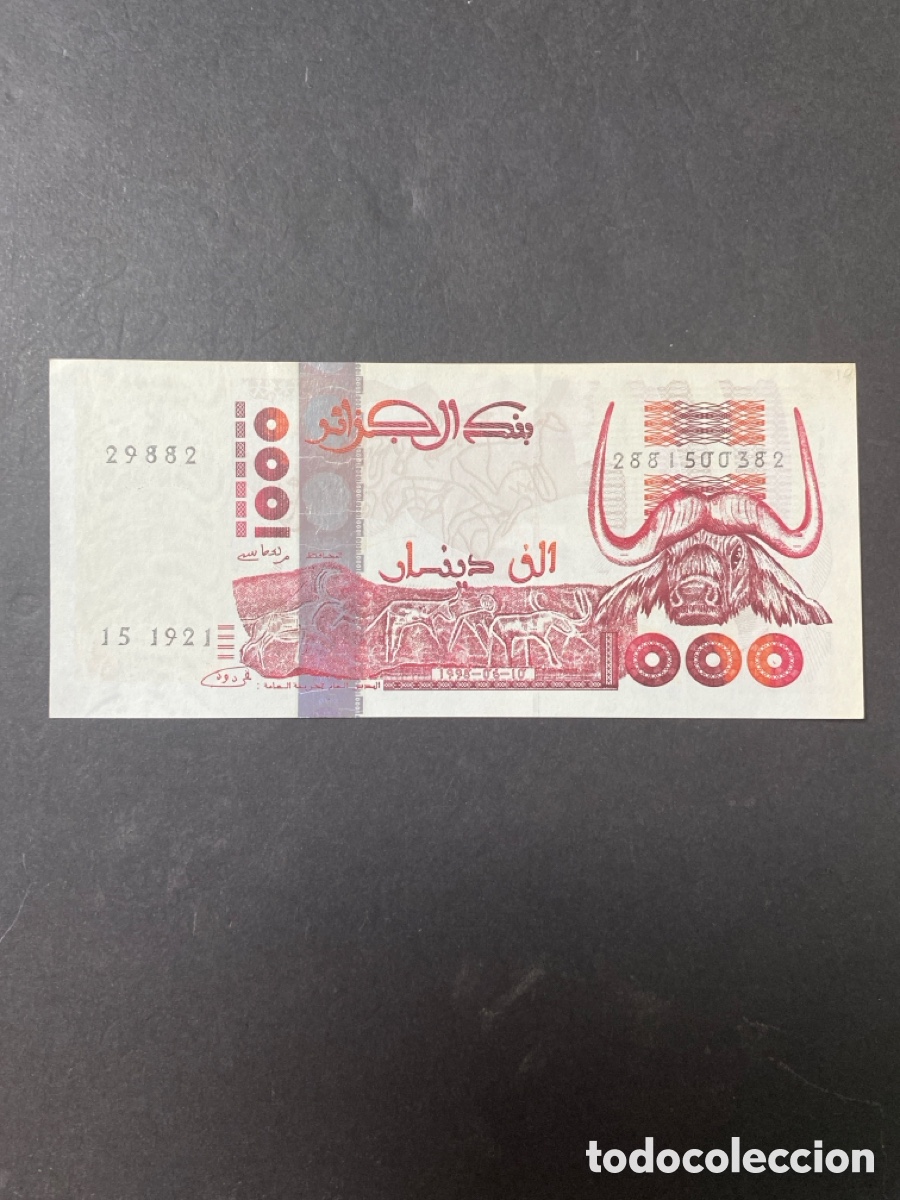 Billetes extranjeros: Billete de Argelia 1000 dinars - Foto 1