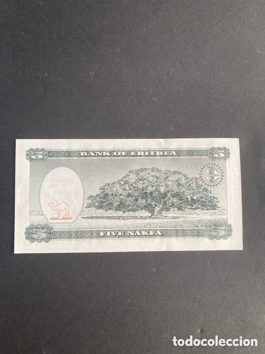 Billetes extranjeros: Billete de Eritrea 5 nakfa - Foto 2
