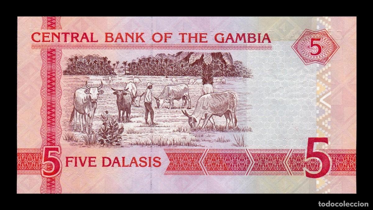 Billetes extranjeros: Gambia 5 Dalasis 2013 Pick 25c Sc Unc - Foto 2