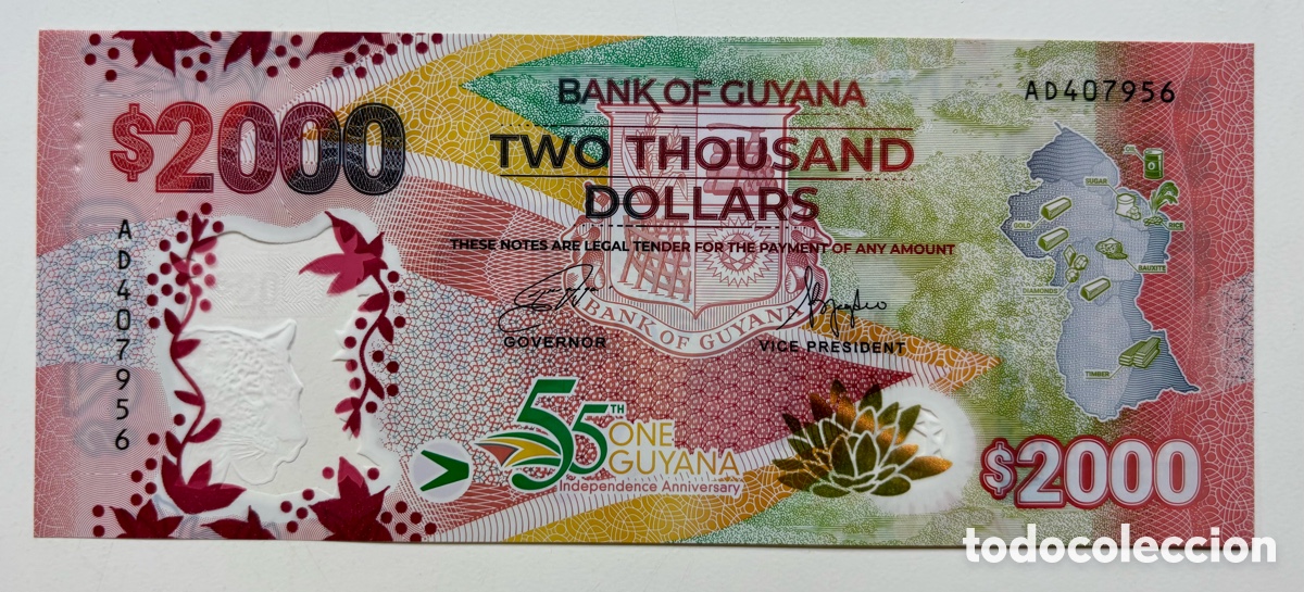 Banconote internazionali: Billete GUYANA 2000 Dolares (2022) SC. Polimero . Conmemorativo