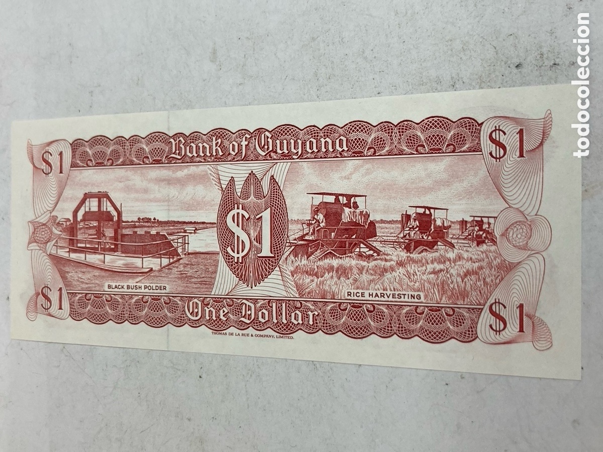 Billetes extranjeros: billete de un d&oacute;lar de Guyana sin circular /PAPEL 20 - Foto 2