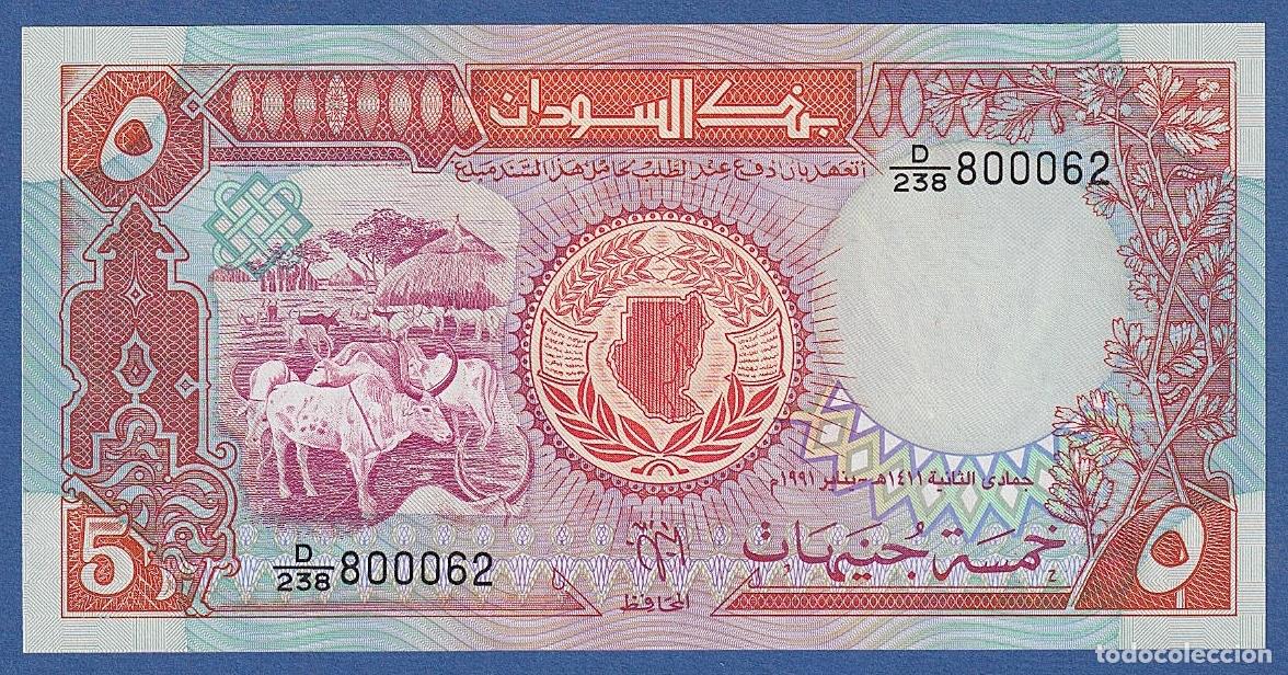 Billetes extranjeros: SUDAN -- 5 POUNDS ( 1991 ) -- UNC -- PICK 45 . - Foto 1