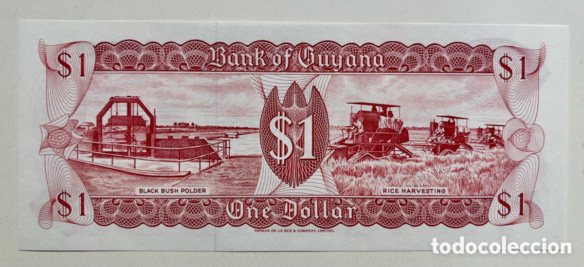 Billetes extranjeros: Billete GUYANA 1 D&oacute;lar (1966-1992) SC. Dollar - Foto 2
