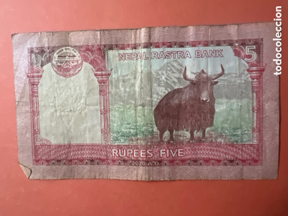 Billetes extranjeros: Hb115. NEPAL 5 RUPIAS - 2020 - Foto 1