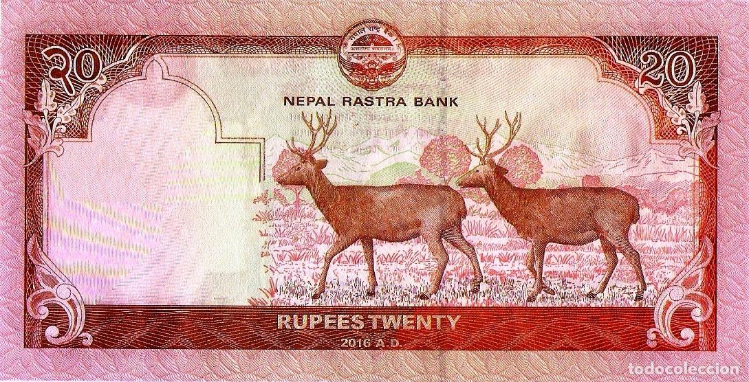 Billetes extranjeros: NEPAL, 20 RUPEES, 2016, P78, UNC - Foto 3