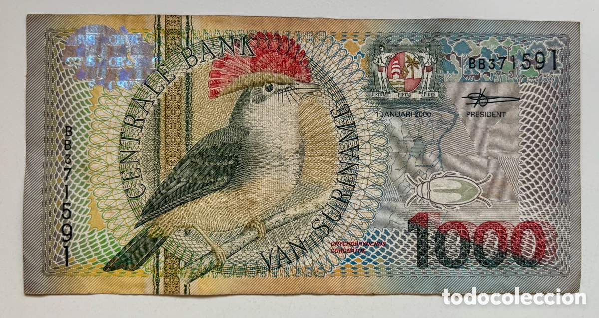 Billetes extranjeros: Billete SURINAME 1000 Gulden 2000 - Foto 1