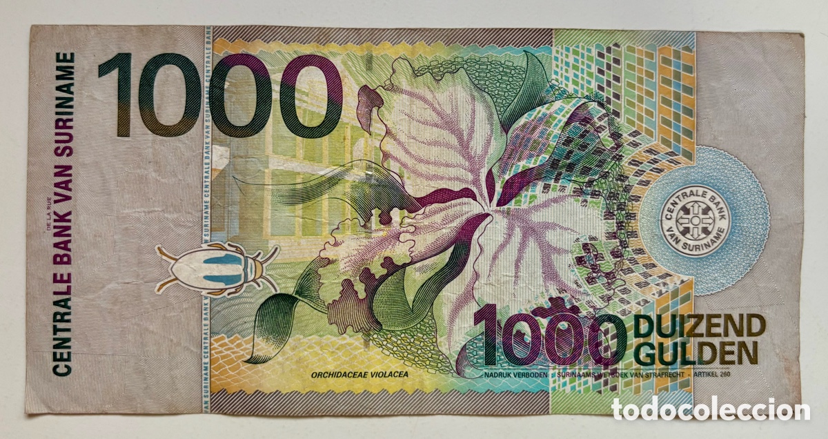 Billetes extranjeros: Billete SURINAME 1000 Gulden 2000 - Foto 2
