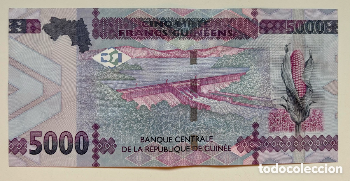 Billetes extranjeros: Billete GUINEA 5000 Francos 2022 - Foto 2