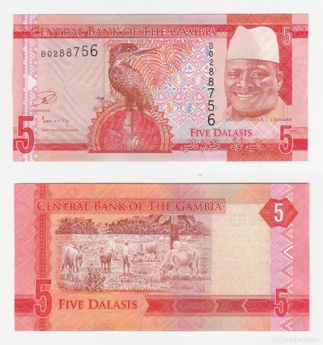 Billetes extranjeros: Gambia 5 Dalasis 2015 Sin Circular