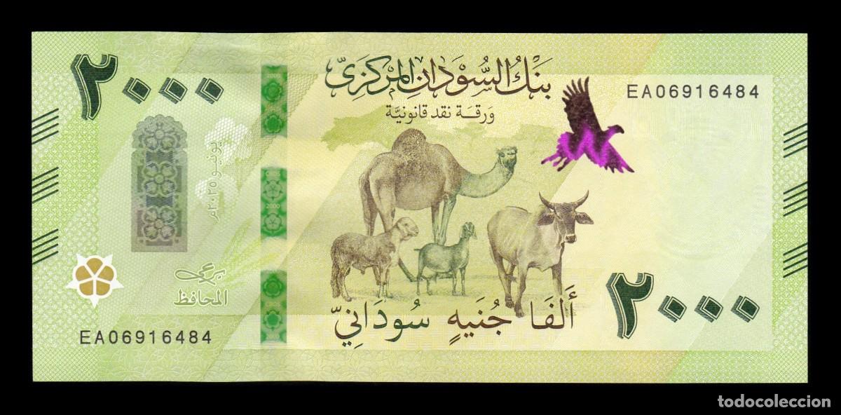 Billetes extranjeros: Sud&aacute;n 2000 Libras 2025 Pick 88 Nuevo Sc Unc