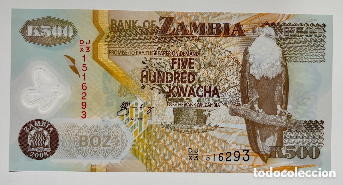 Billetes extranjeros: Billete ZAMBIA 500 Kwacha 2008 SC Polimero. Aguila Pescadora