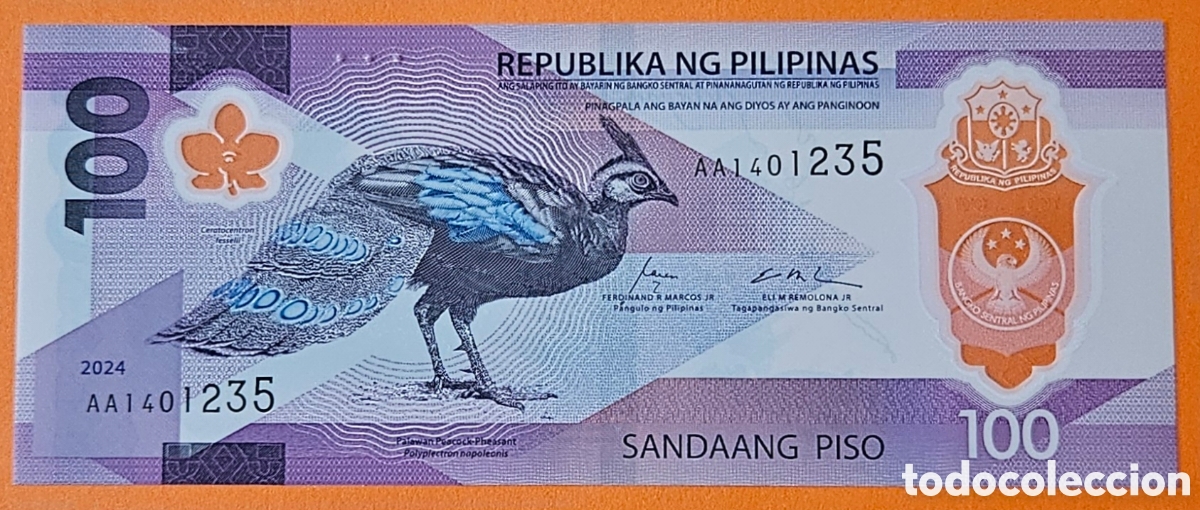Billetes extranjeros: FILIPINAS, 100 PISIS, 2024. SC.