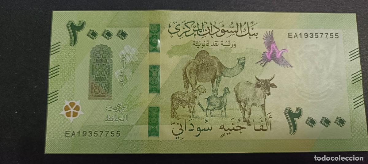 Billetes extranjeros: SUDAN 2000 POUNDS 2025 S/C P=NEW