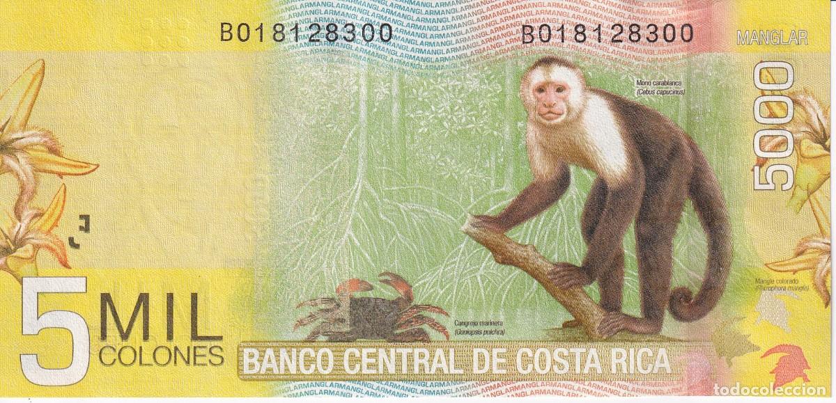 Billetes extranjeros: BILLETE DE COSTA RICA DE 5000 COLONES DEL A&Ntilde;O 2012 SIN CIRCULAR (SC) (MONO-MONKEY)