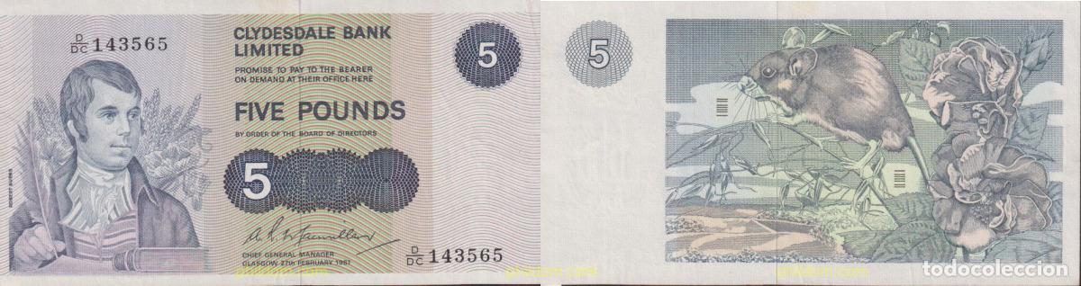 Billetes extranjeros: 1665 GRAN BRETA&Ntilde;A. Escocia 1981 SCOTLAND 5 POUNDS 1981