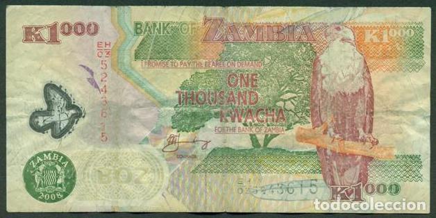 Billetes extranjeros: ZAMBIA. 1000 kwacha 2008. Polimero. Fauna.