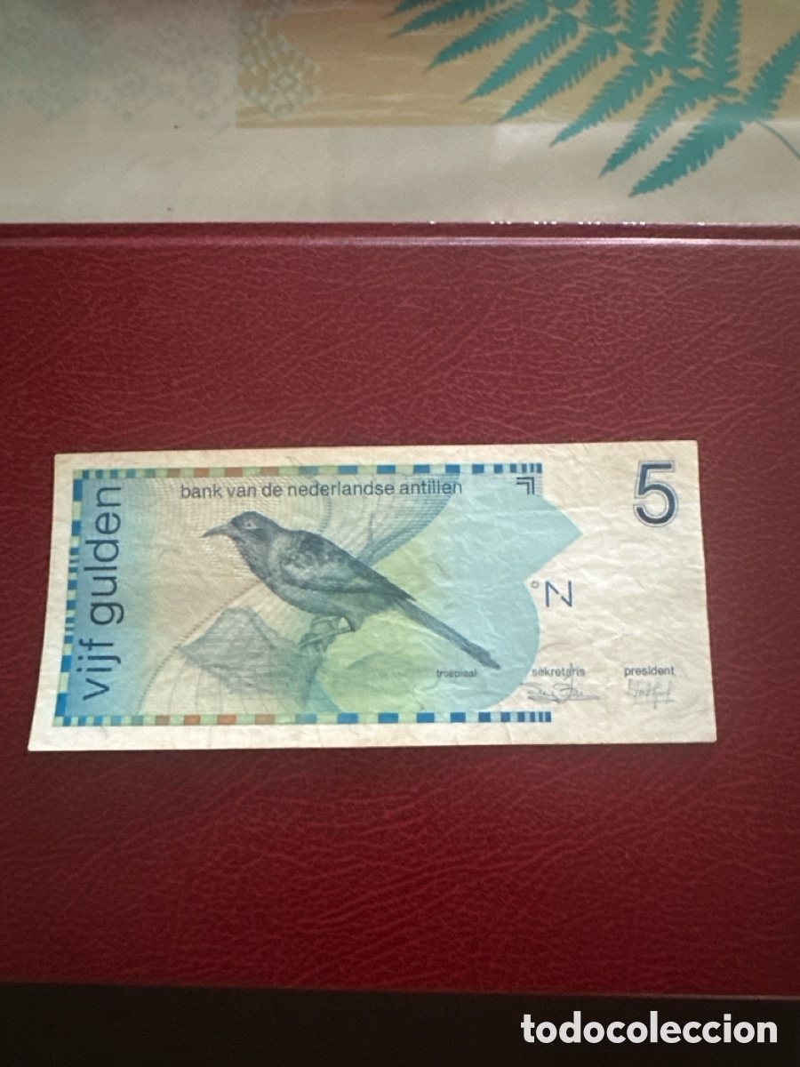 Internationale Banknoten: Billete de Antillas Holandesas 5 gulden a&ntilde;o 1986