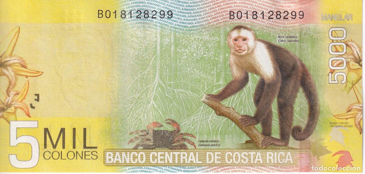 Billetes extranjeros: BILLETE DE COSTA RICA DE 5000 COLONES DEL A&Ntilde;O 2012 SIN CIRCULAR (SC) (MONO-MONKEY)