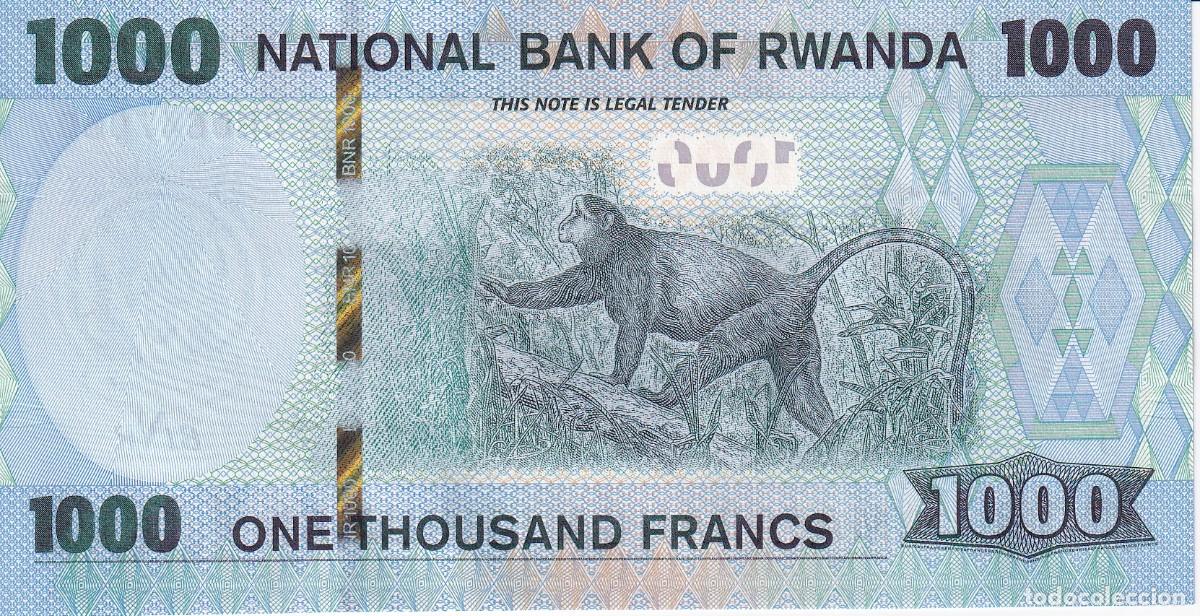 Billetes extranjeros: BILLETE DE RWANDA DE 1000 FRANCS DEL A&Ntilde;O 2019 SIN CIRCULAR (SC)