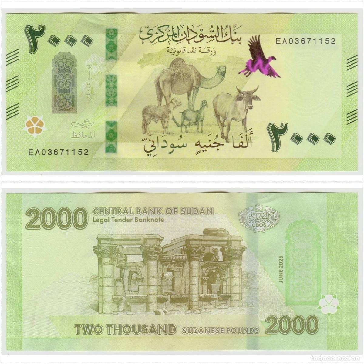 Billetes extranjeros: Sudan 2000 Libras 2025 (2026) Pick 88 Sin Circular