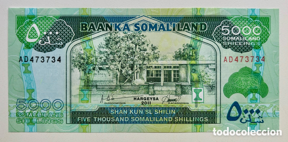 Billetes extranjeros: Billete SOMALILANDIA 5000 Chelines 2011 SC. Somaliland